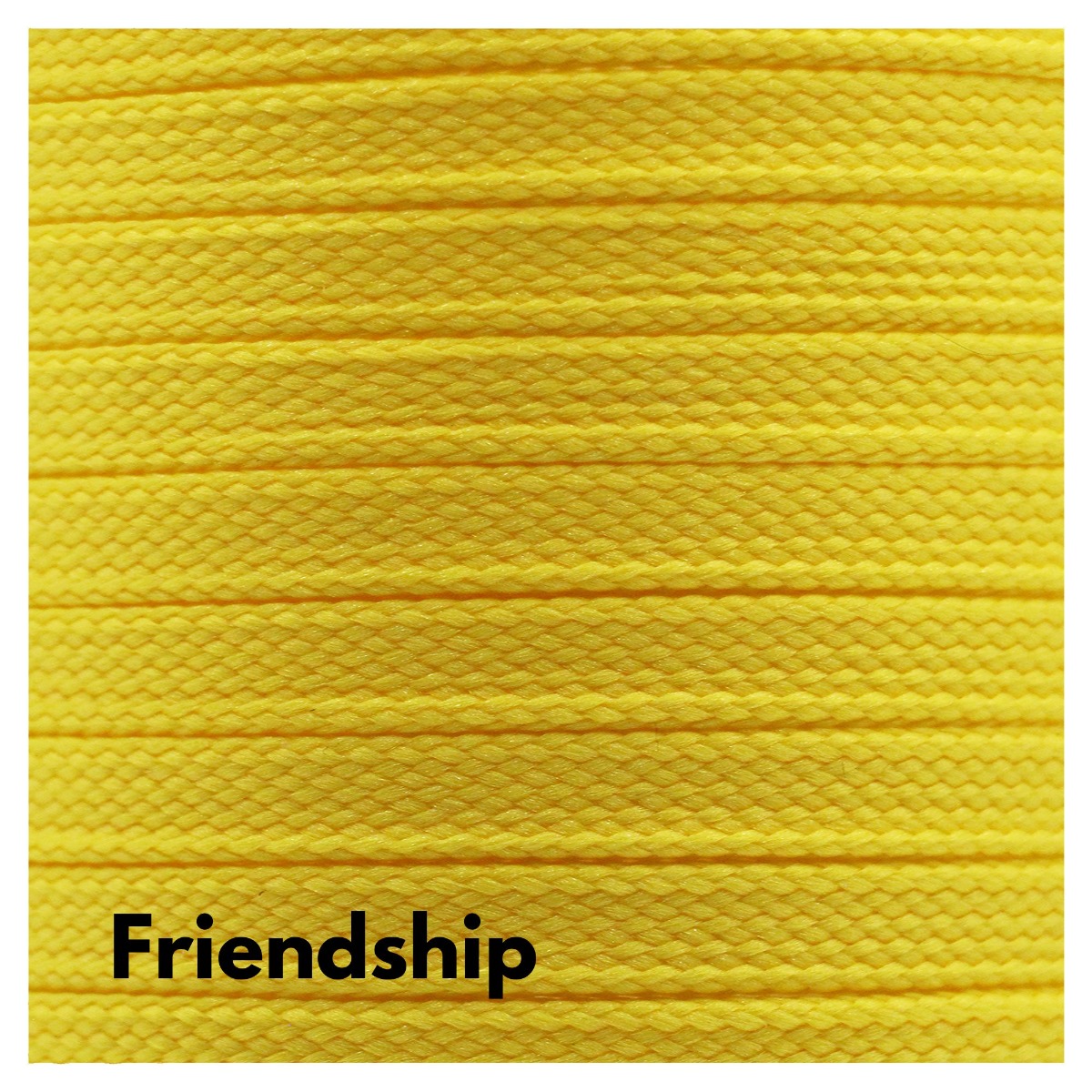 Friendship Shoelaces